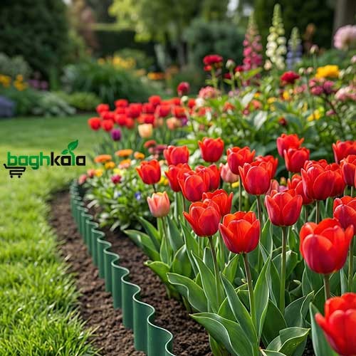 جداکننده محوطه سازی تارنا